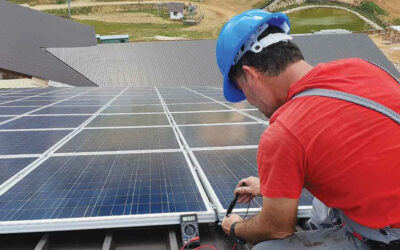 Les subventions pour les panneaux solaires en entreprise : quelles aides pour les professionnels